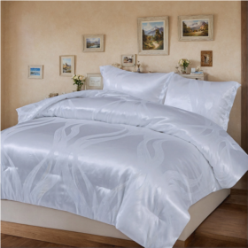 1 PC Luxury Satin Microfiber Bedding Set (Option: Style1)